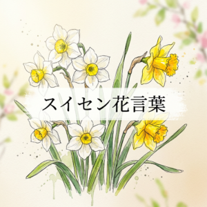 narcissus-flower-meaning