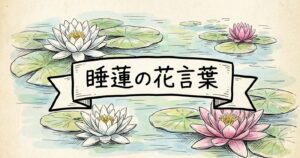 water-lily-flower-meaning