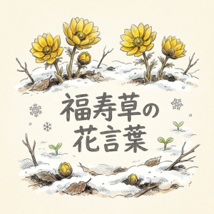 福寿草の花言葉｜「幸福」と「悲しき思い出」の意味と由来