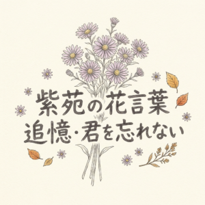shion-flower-language
