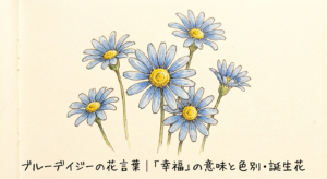 blue-daisy-hanakotoba