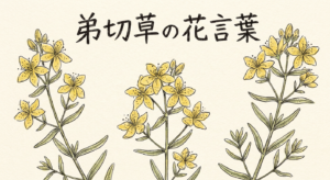 otogirisou-hanakotoba