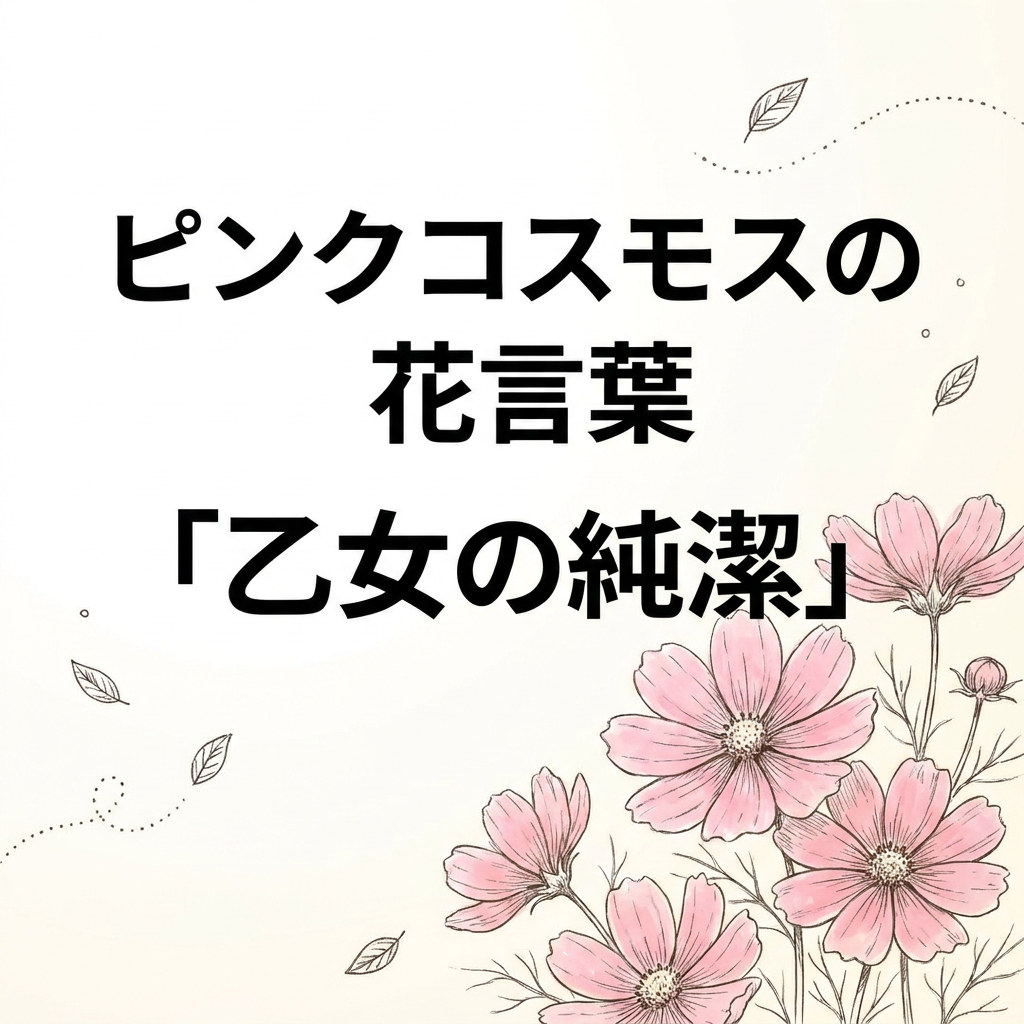 pink-cosmos-flower-language