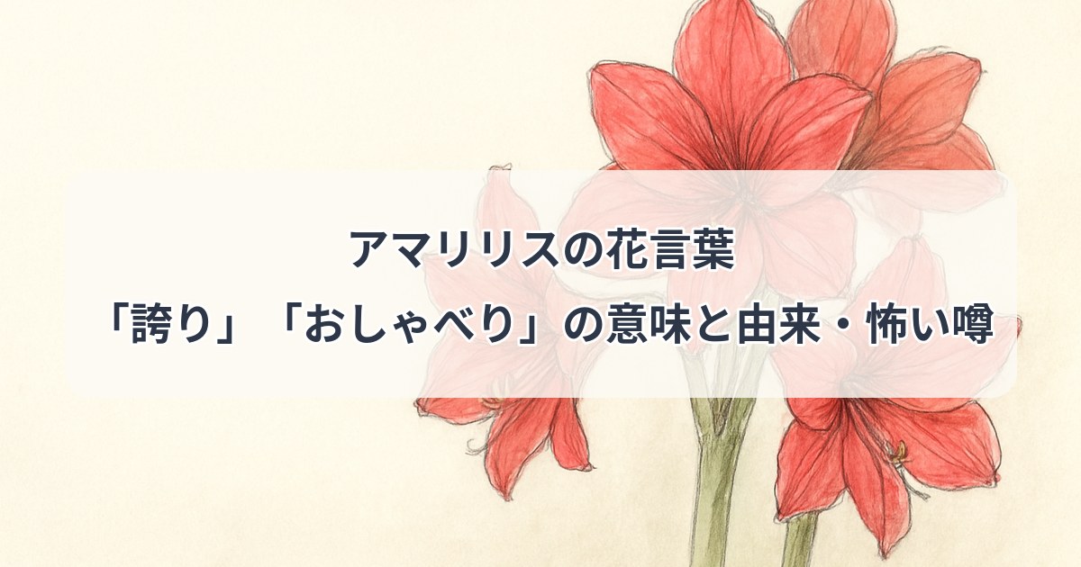 amaryllis-hanakotoba