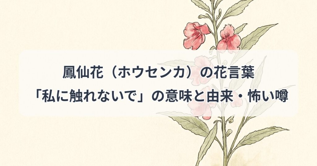 hosenka-hanakotoba