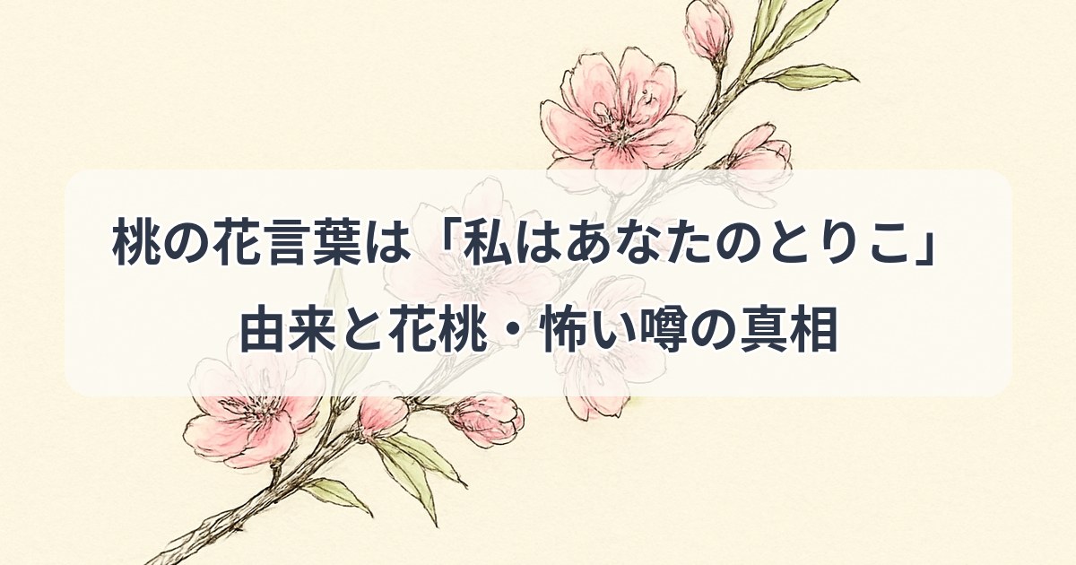 momo-hanakotoba