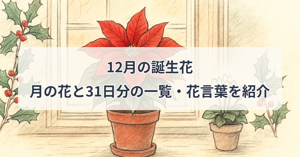 december-birth-flower