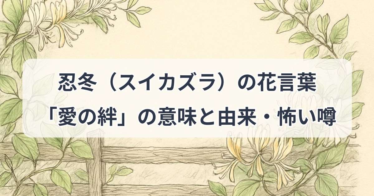 suikazura-hanakotoba