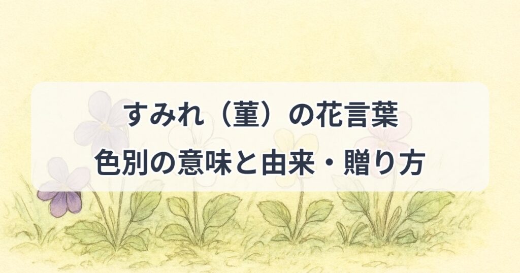 sumire-hanakotoba